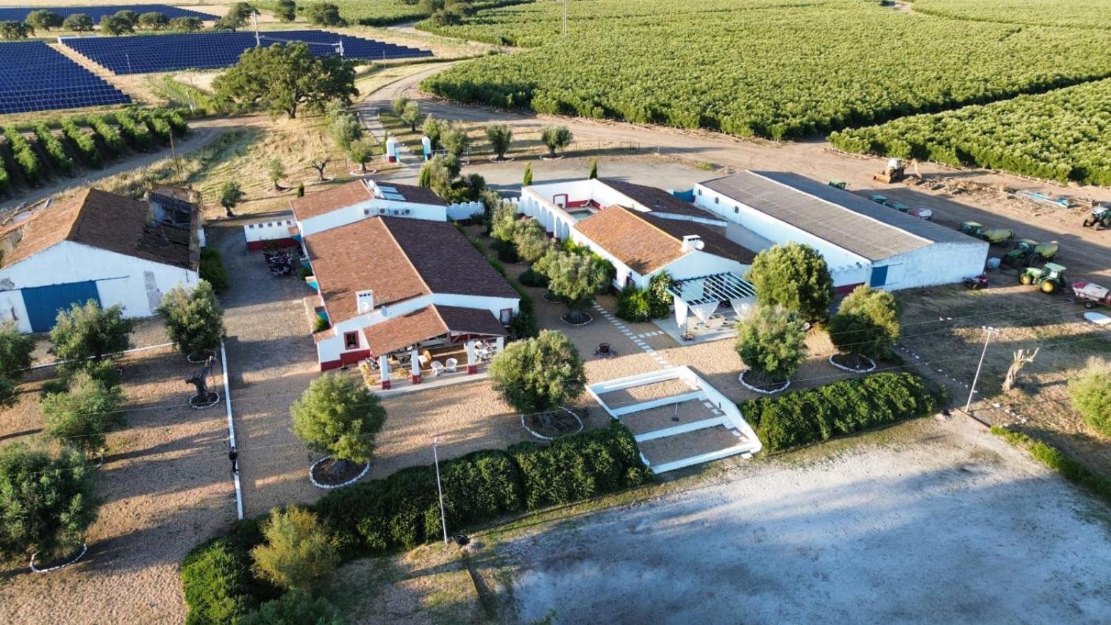 Quinta Da Chamine Hotel Ferreira Do Alentejo Ngoại thất bức ảnh